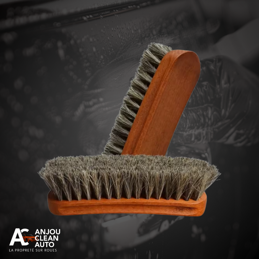 Brosse Cuir en Crin de Cheval