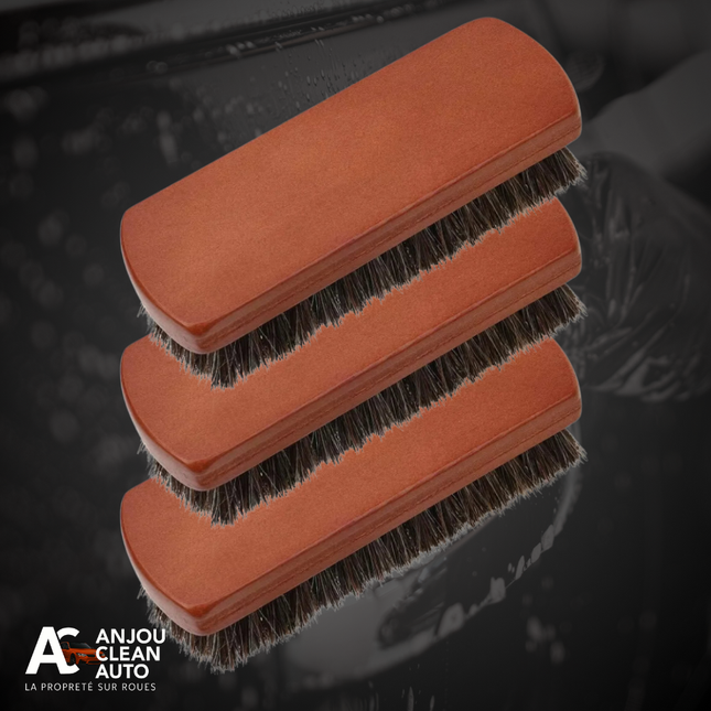 Brosse Cuir en Crin de Cheval