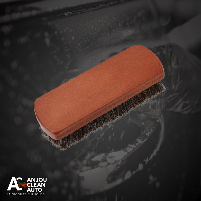 Brosse Cuir en Crin de Cheval